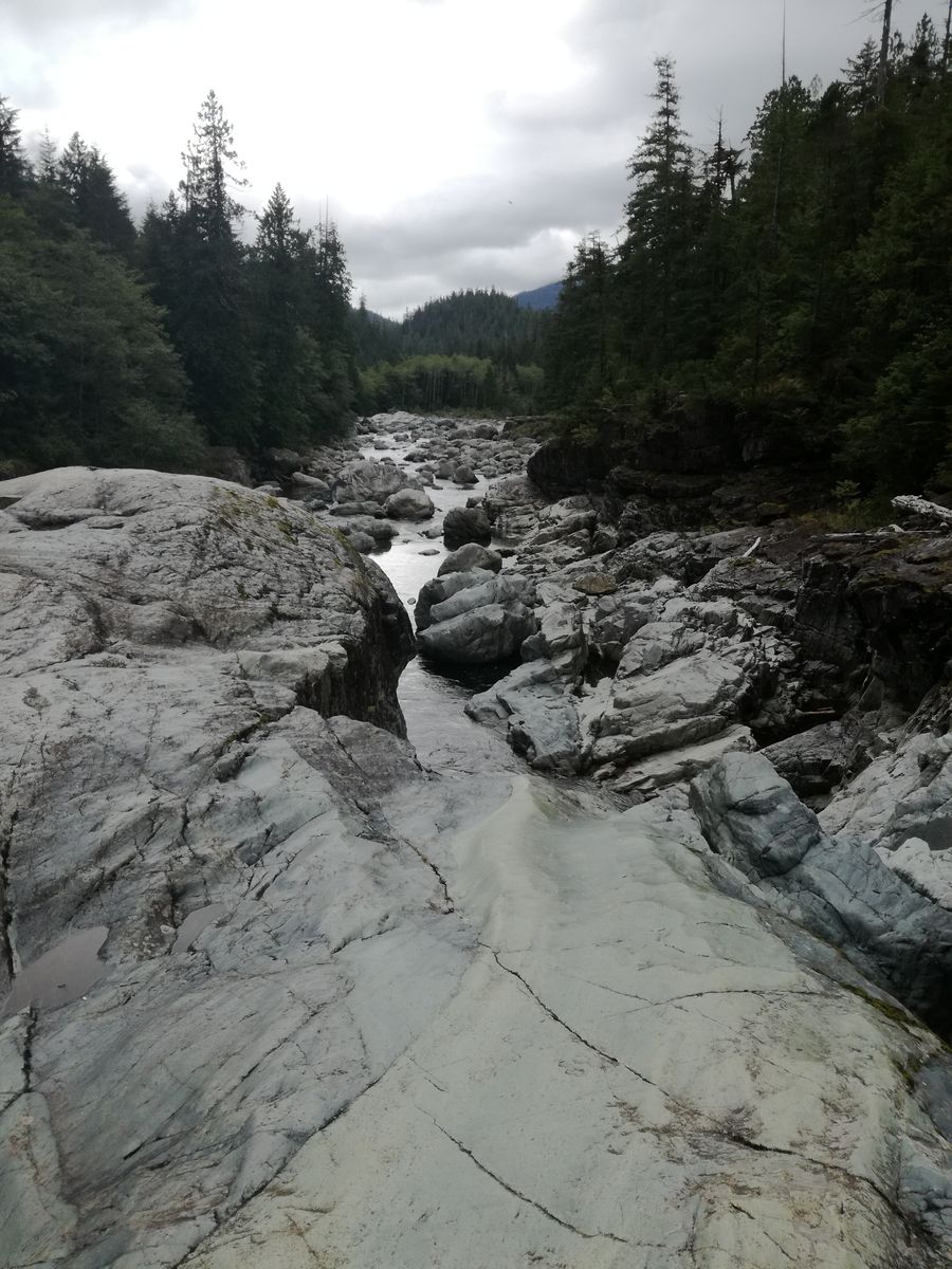 20190903_152058.jpg