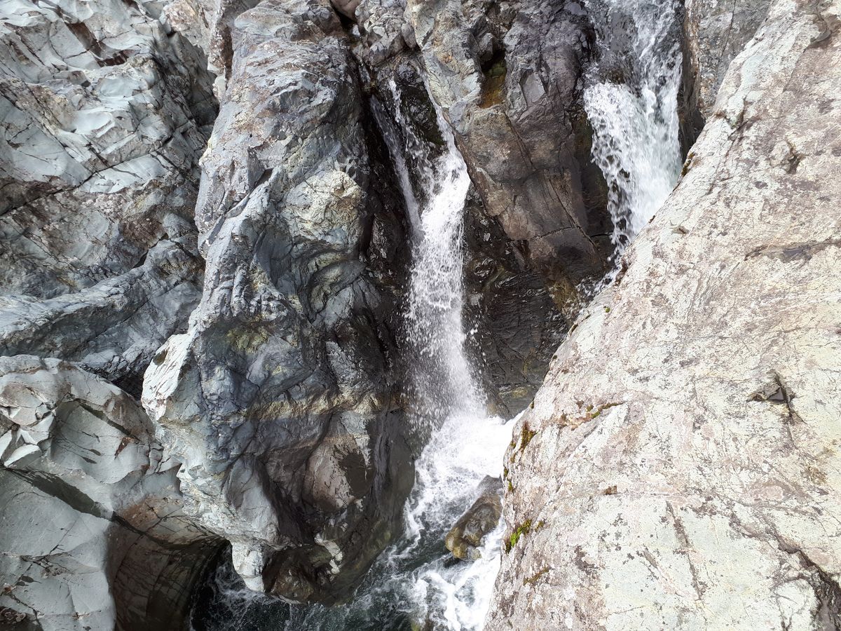 20190903_152433.jpg