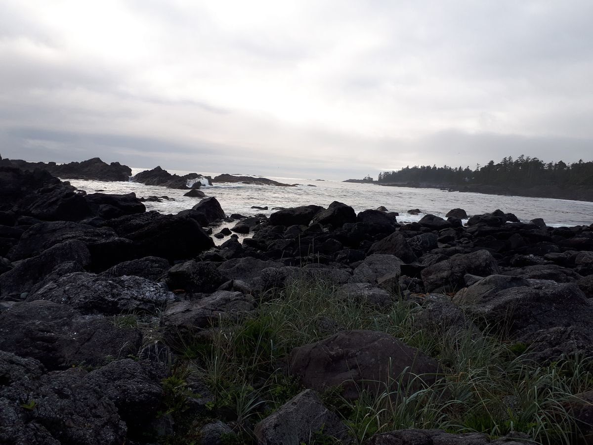 20190903_180720.jpg