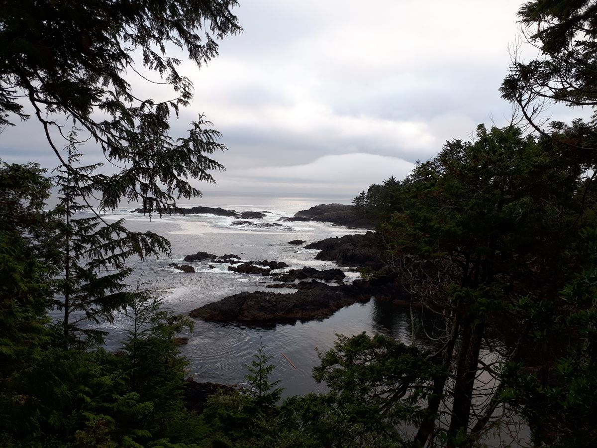 20190903_184957.jpg