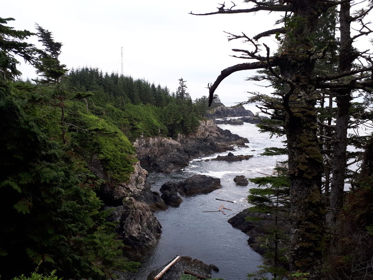 20190903_185511.jpg