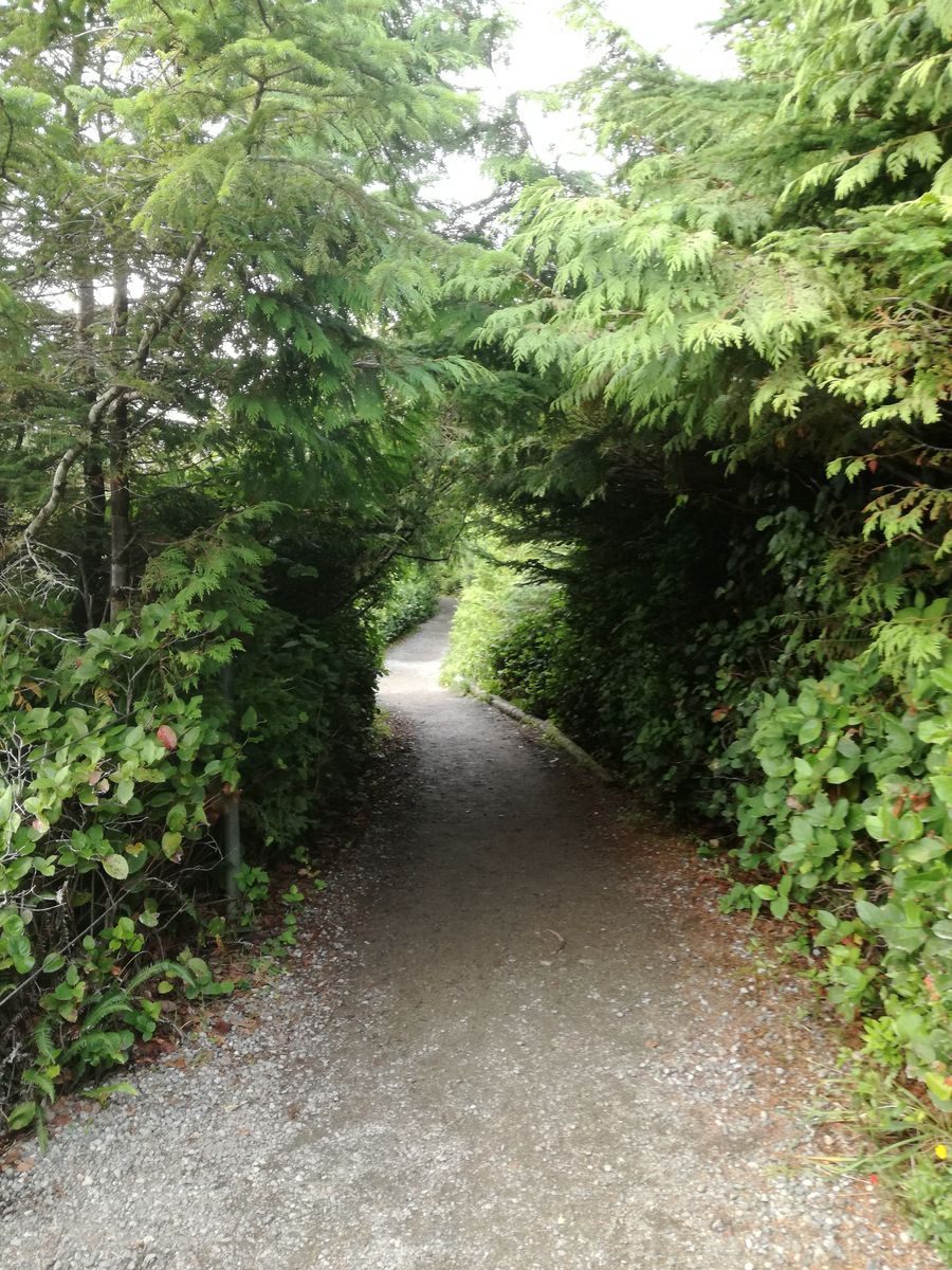20190903_185819.jpg