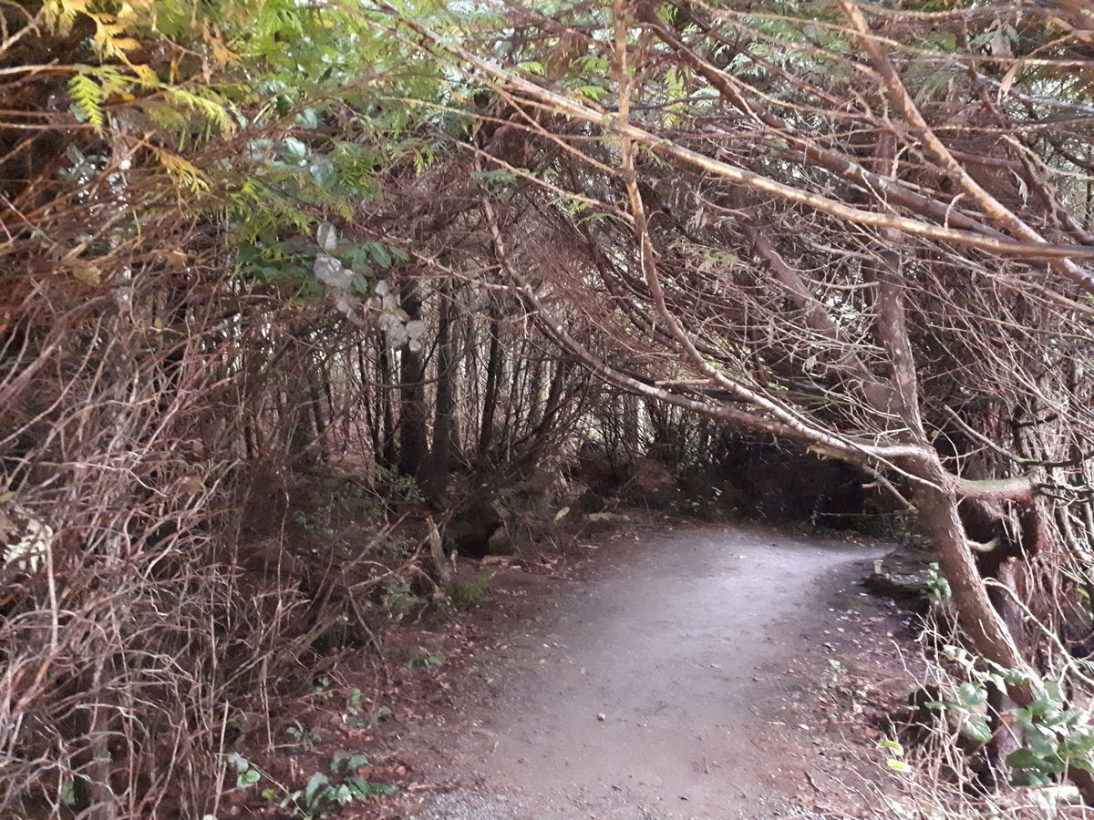 20190903_185921.jpg