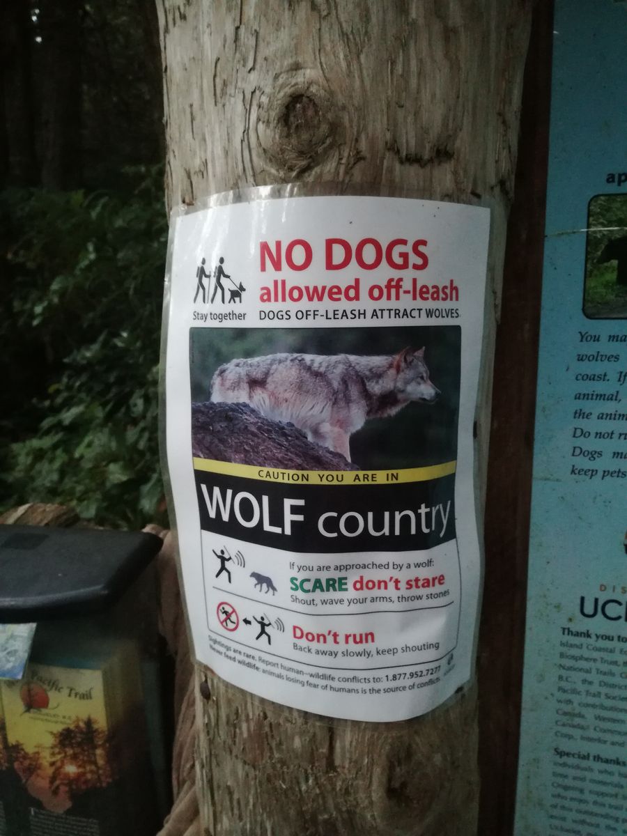 20190903_195613.jpg