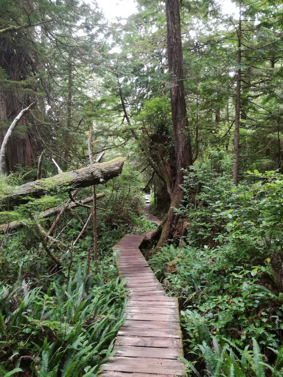 20190904_090714.jpg