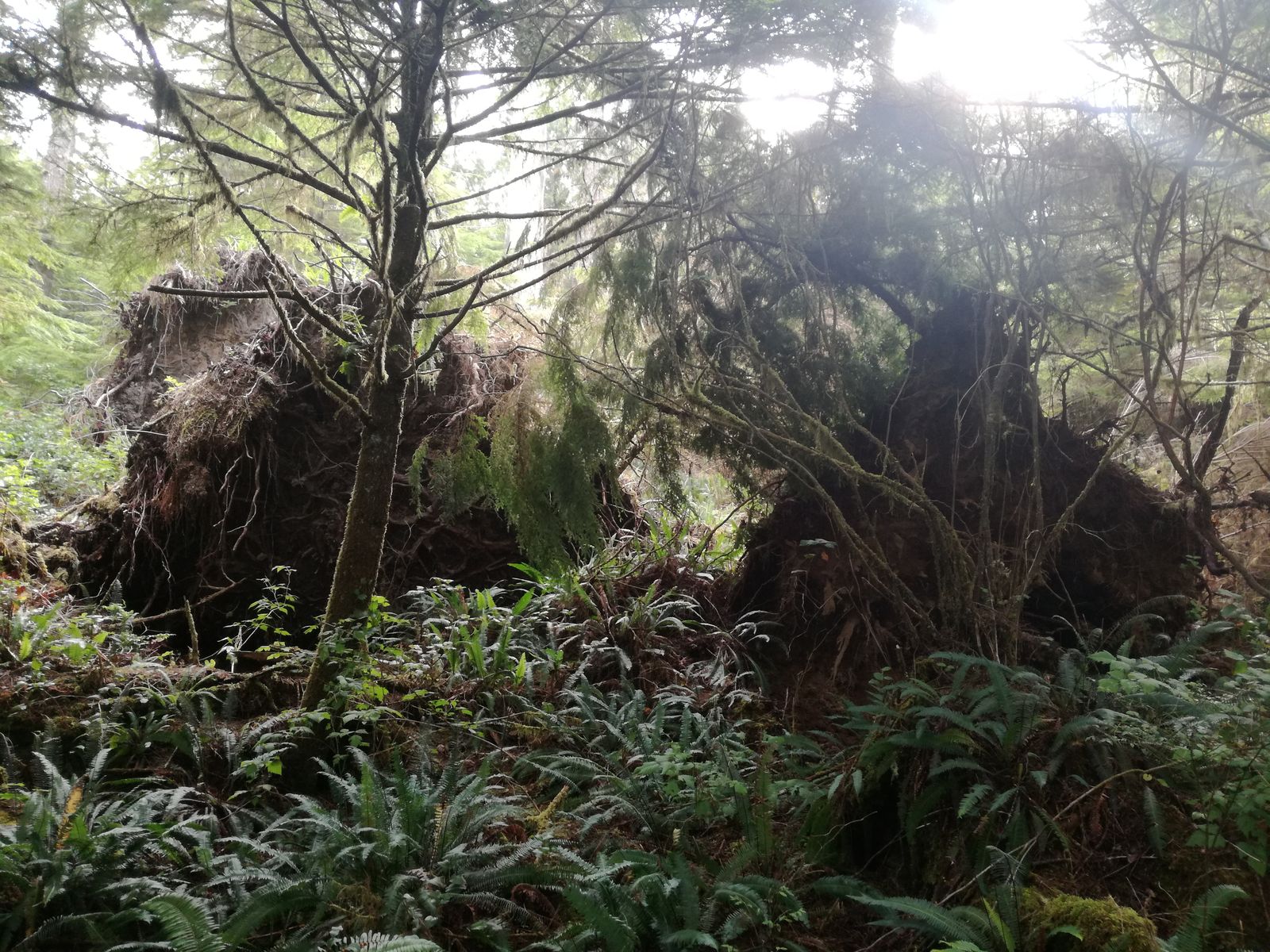 20190904_092914.jpg