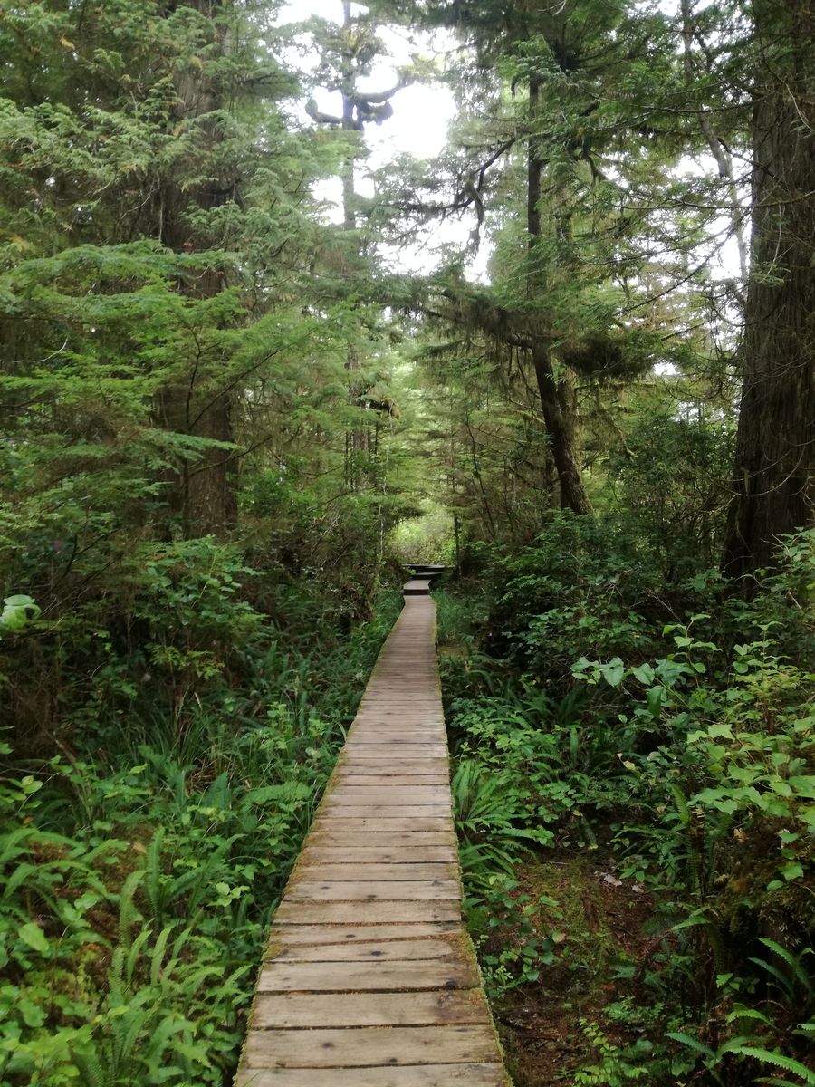 20190904_092447.jpg