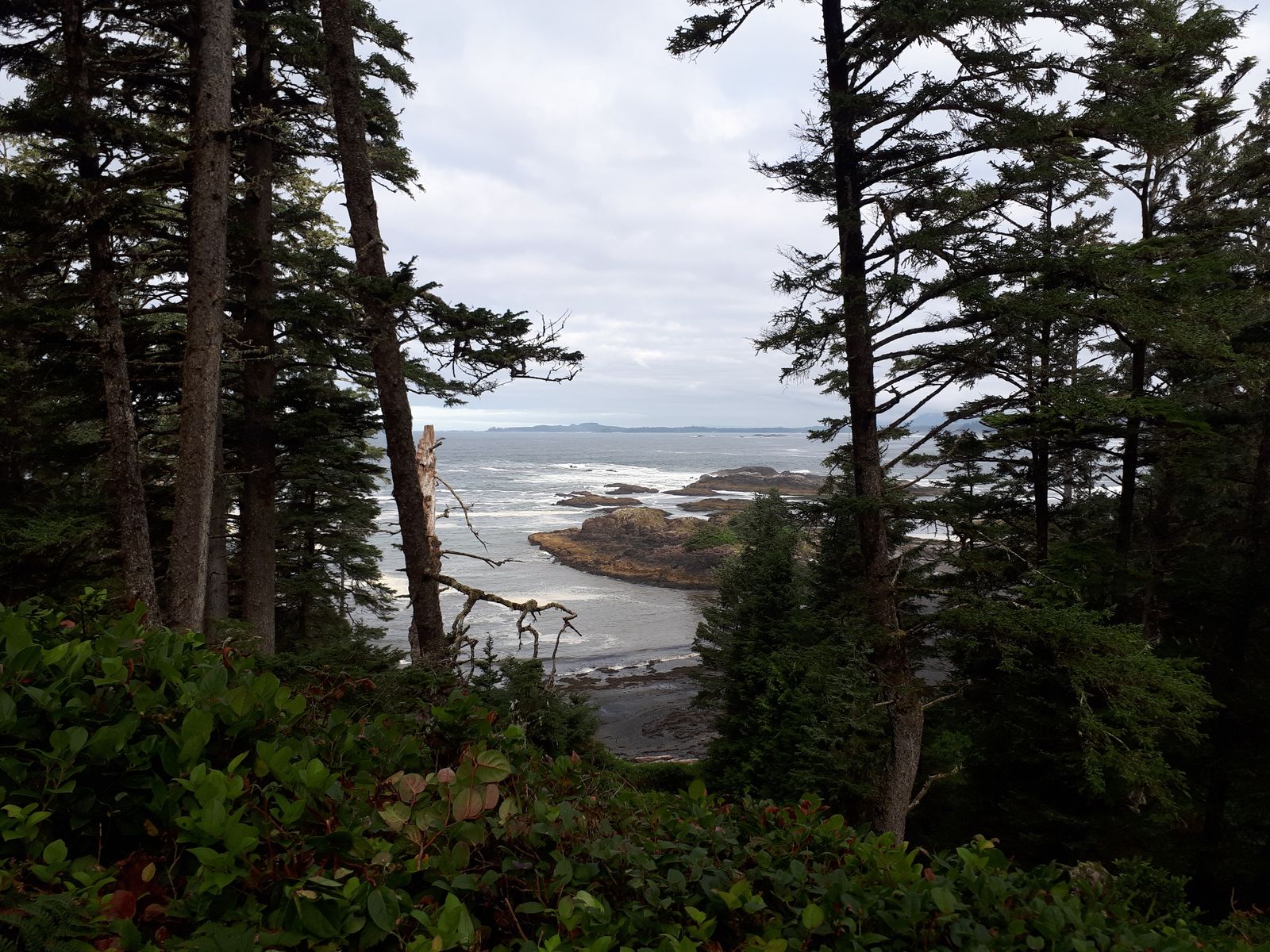 20190904_093119.jpg