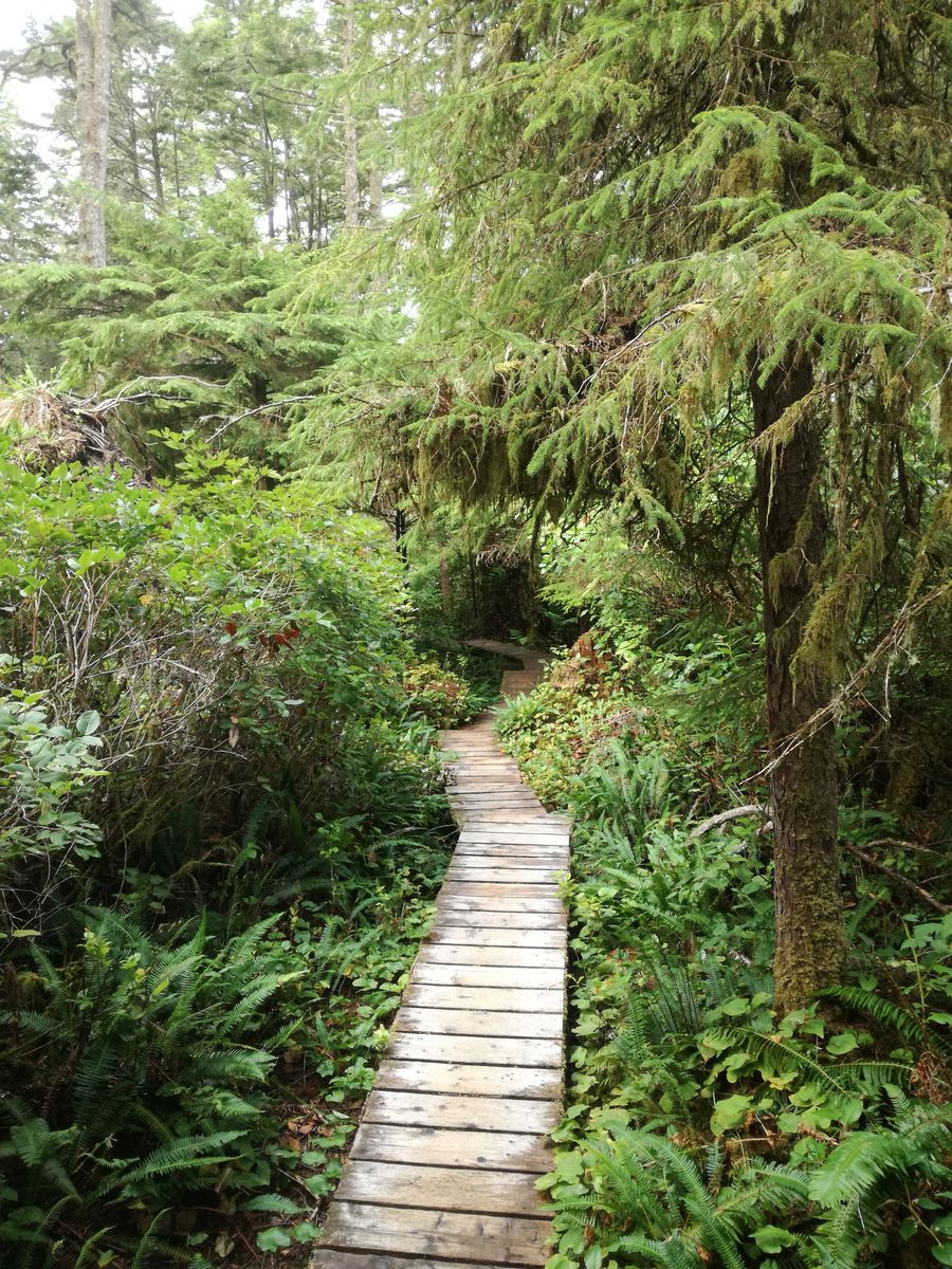 20190904_092736.jpg