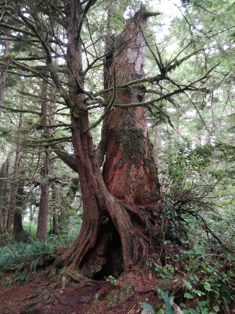 20190904_093454.jpg