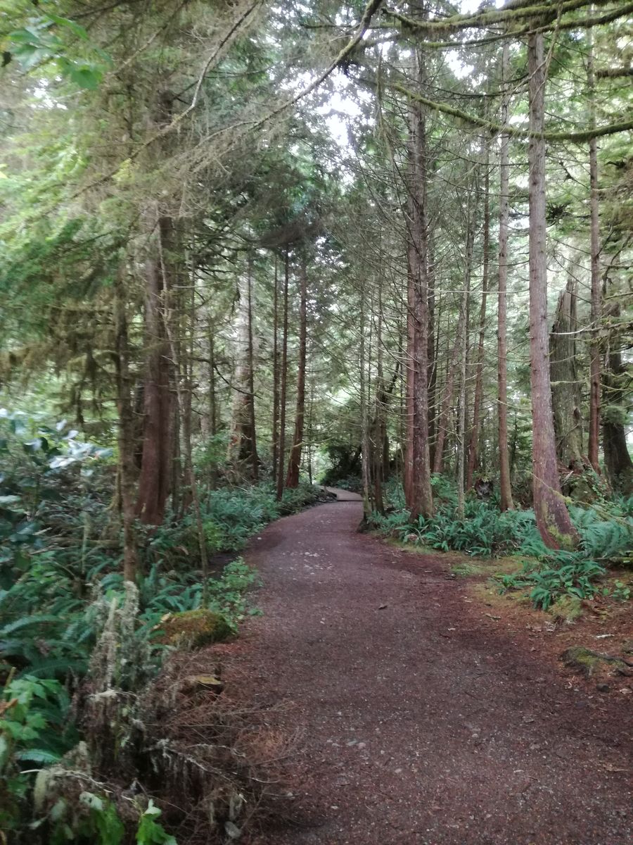 20190904_093458.jpg