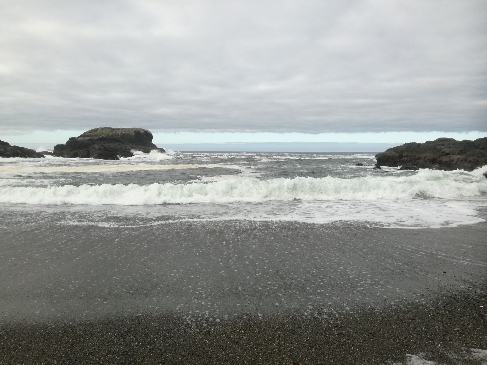 20190904_094228.jpg