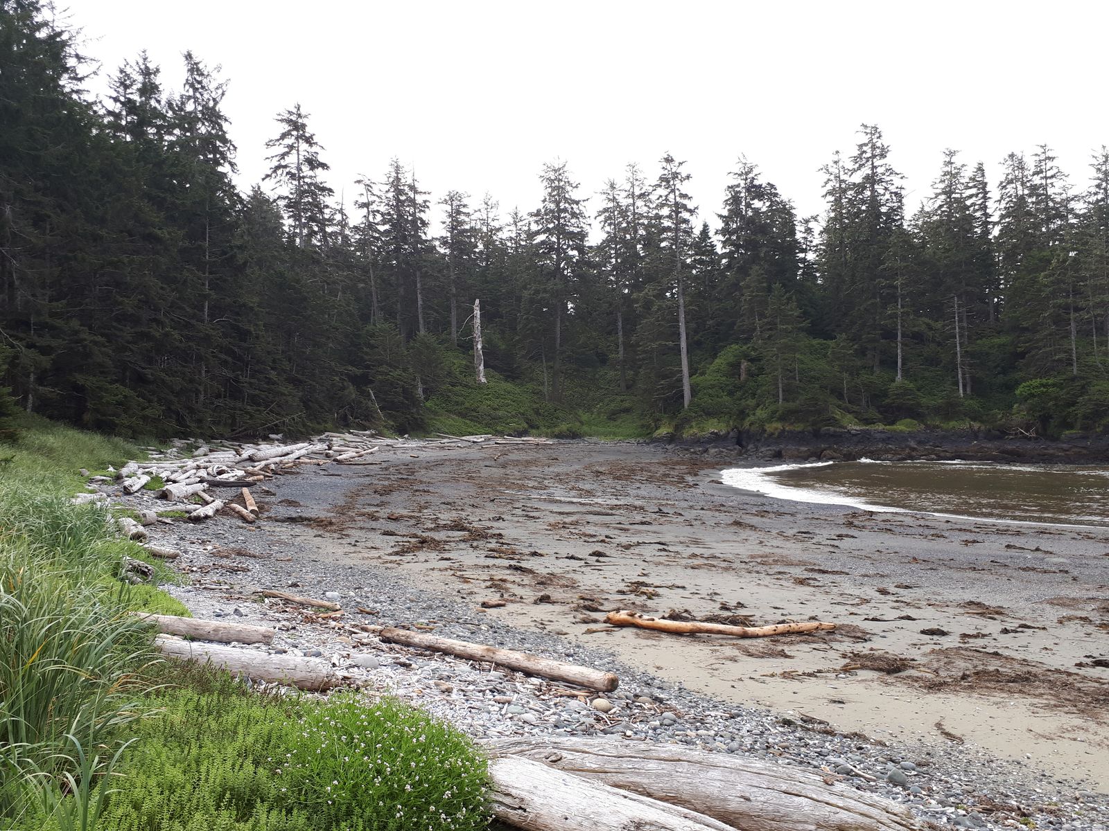 20190904_095931.jpg