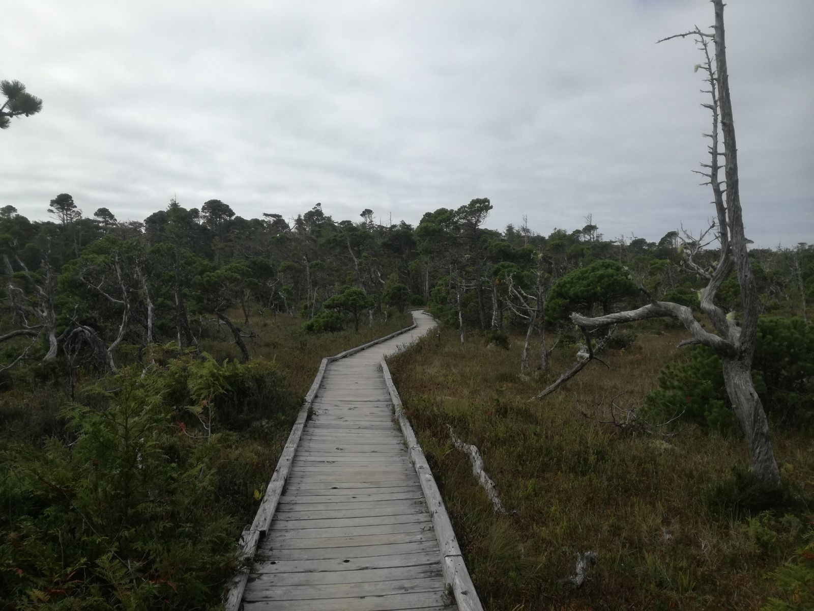 20190904_104943.jpg