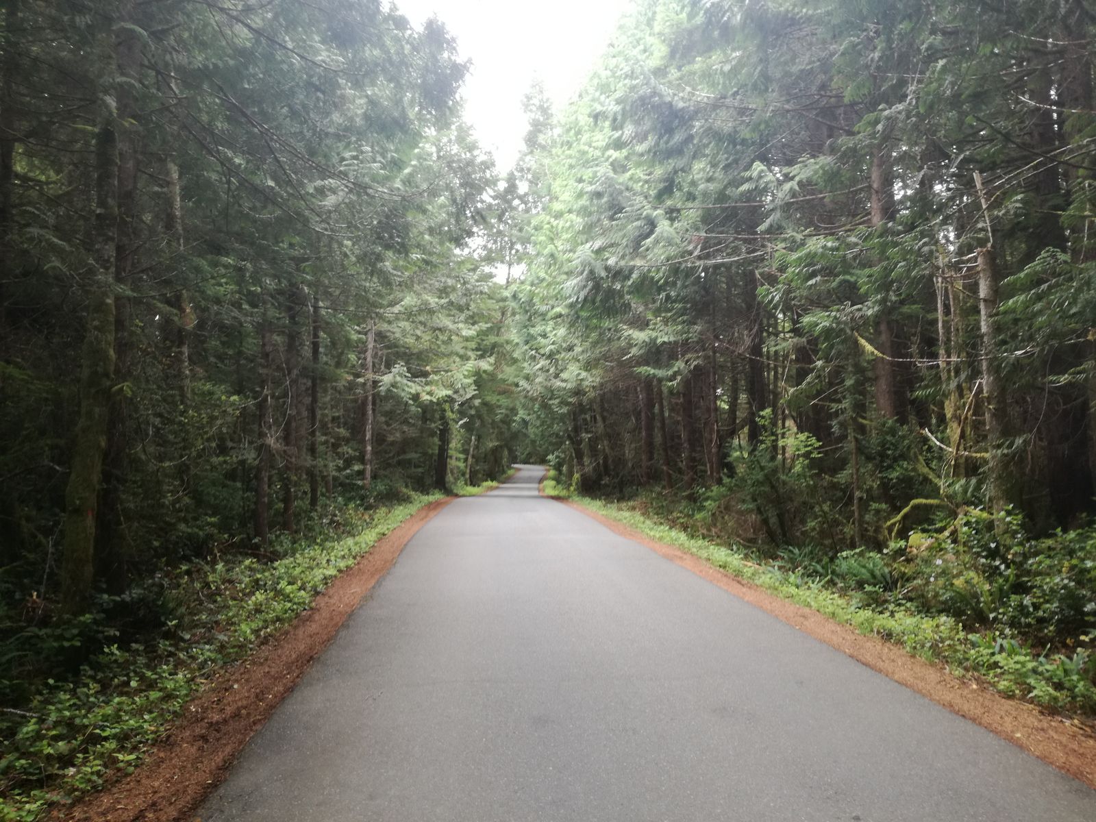 20190904_105810.jpg