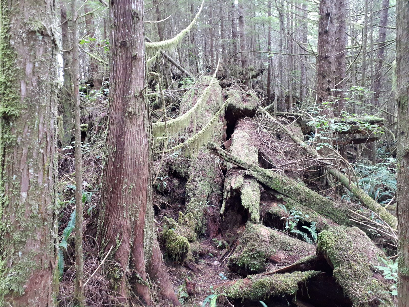 20190904_113831.jpg