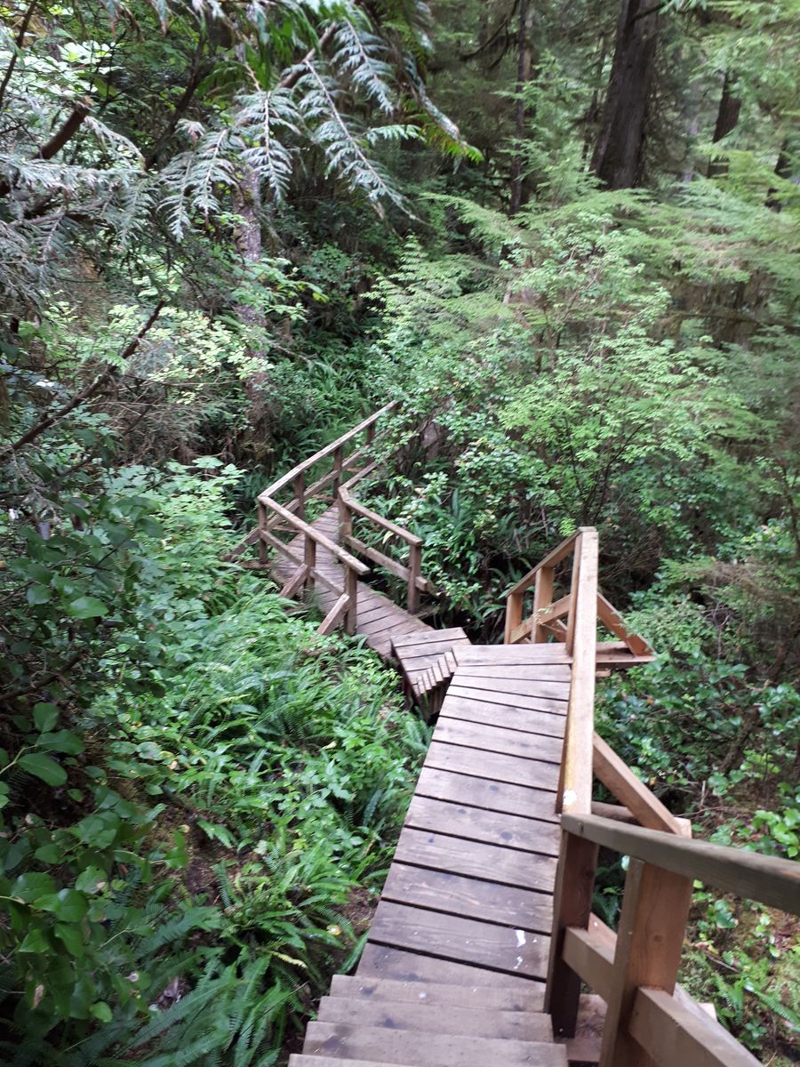 20190904_113946.jpg