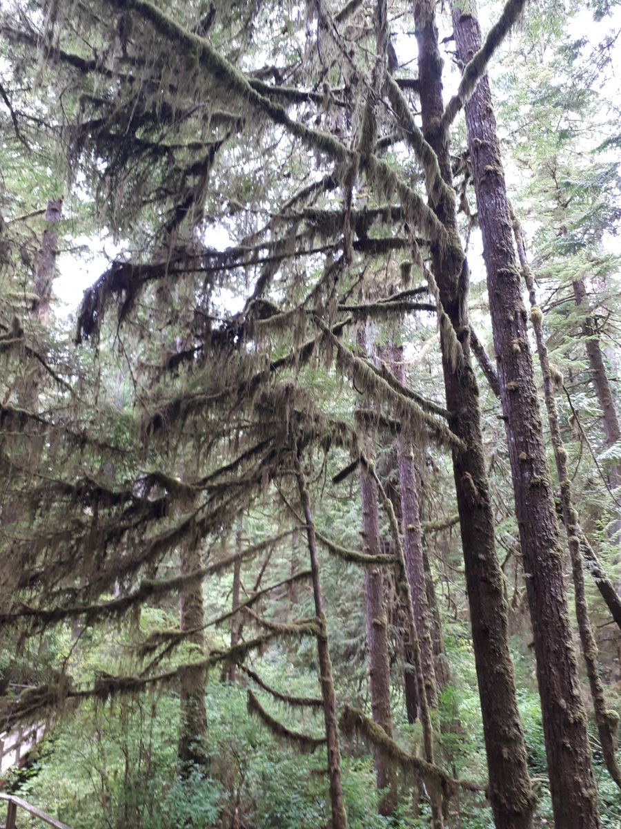 20190904_114937.jpg