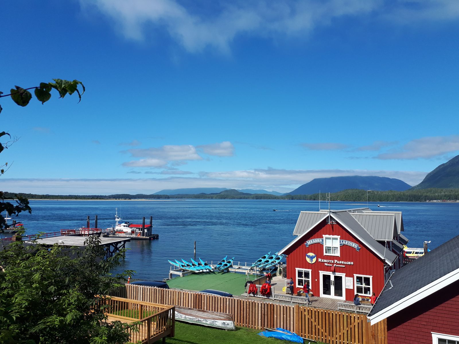 20190904_133558.jpg