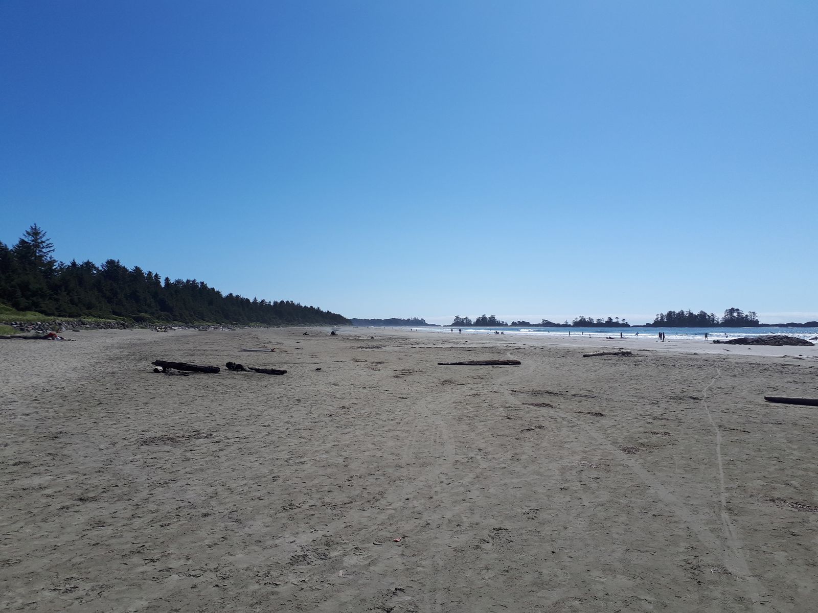 20190904_140359.jpg