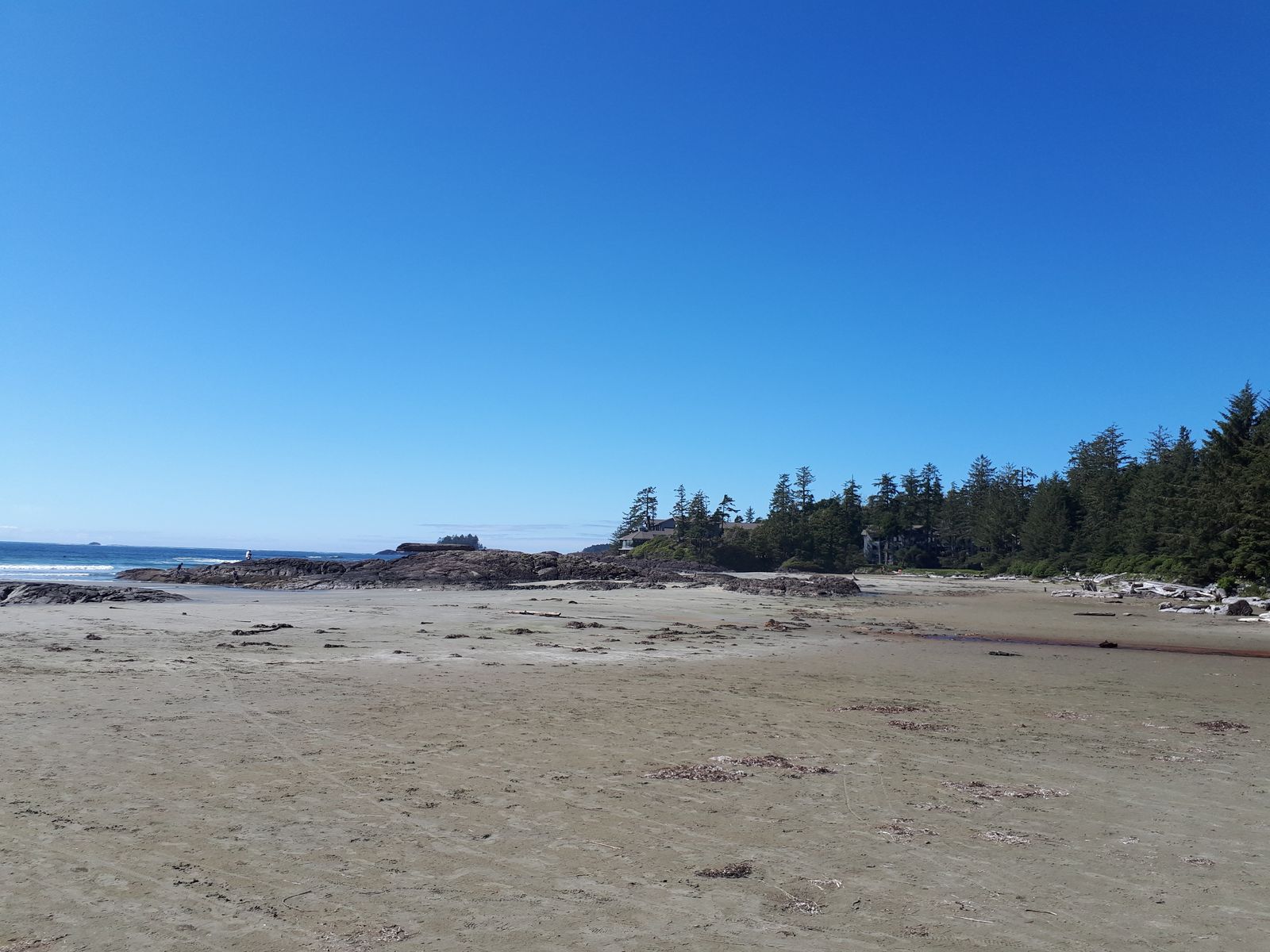 20190904_140410.jpg