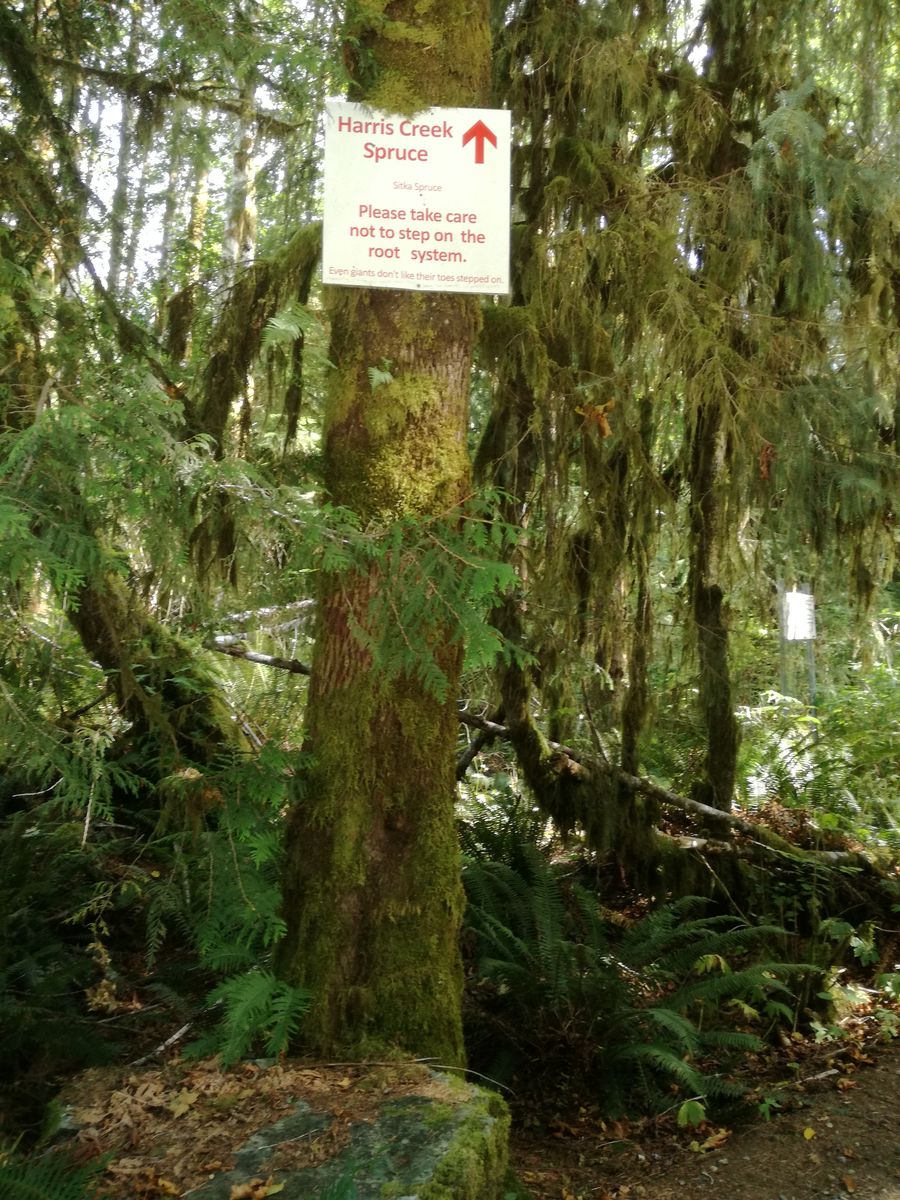 20190905_135238.jpg