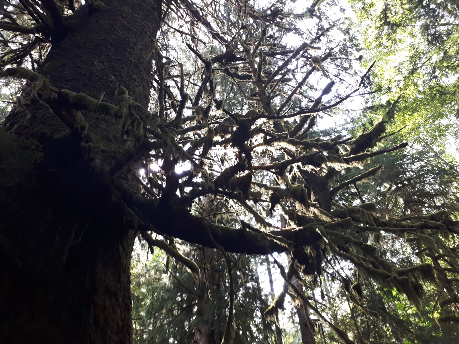 20190905_135549.jpg