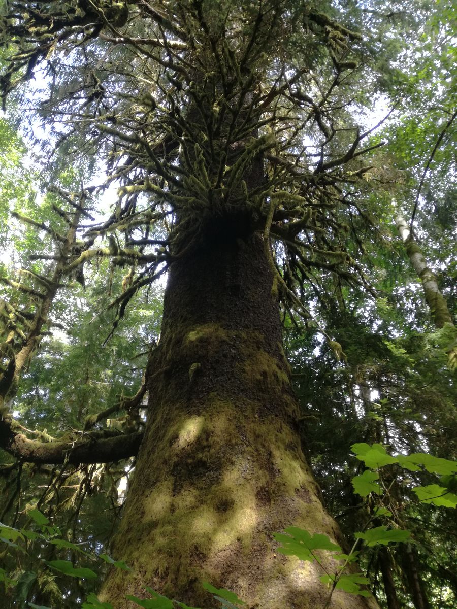 20190905_135634.jpg