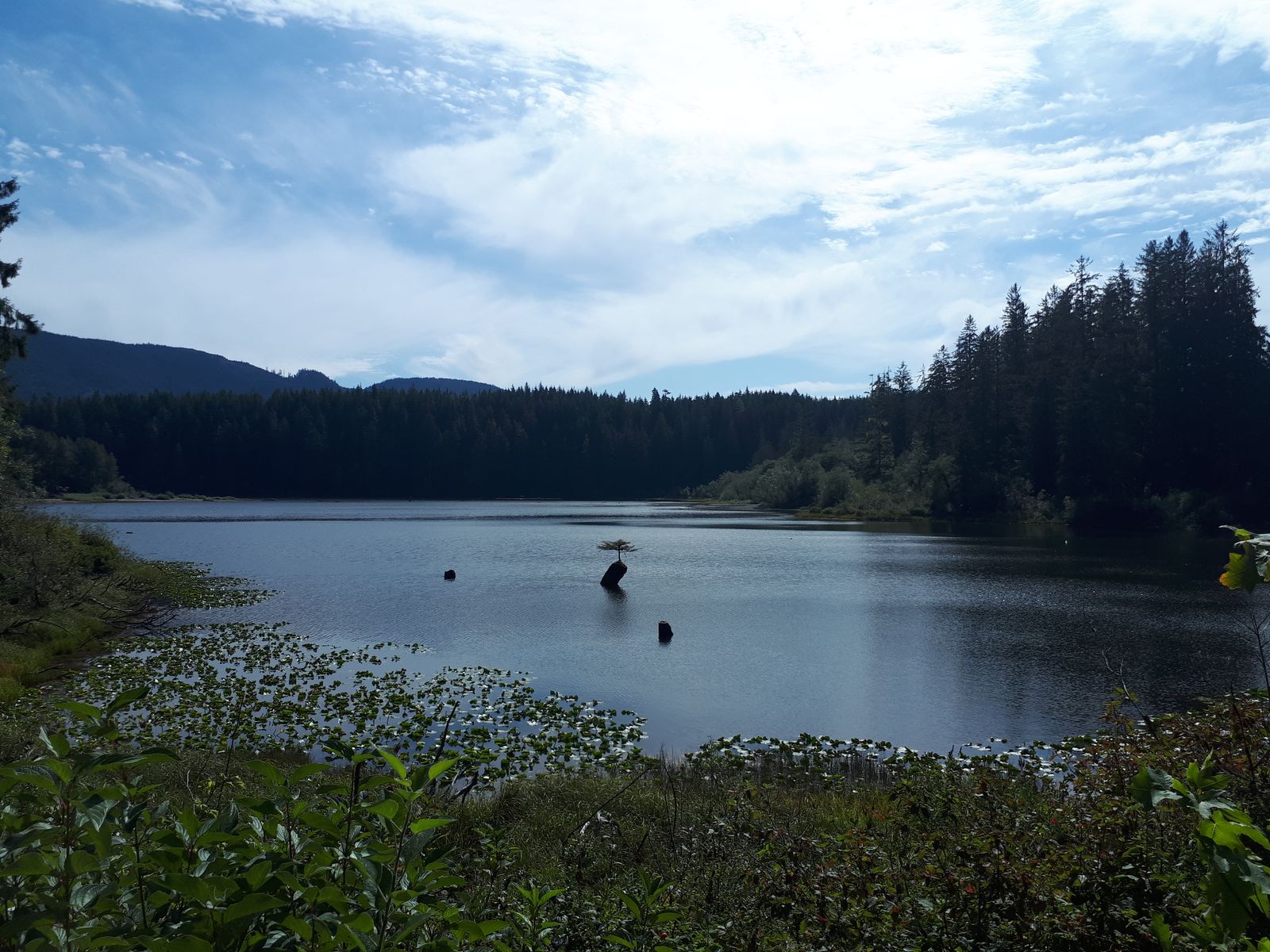 20190905_142645.jpg