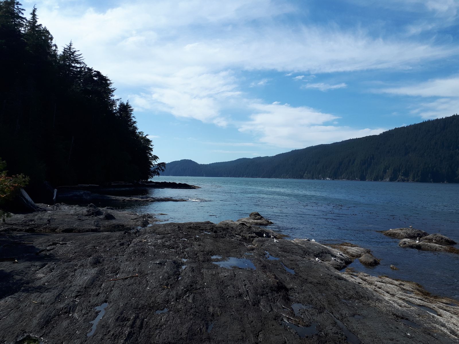 20190905_151422.jpg