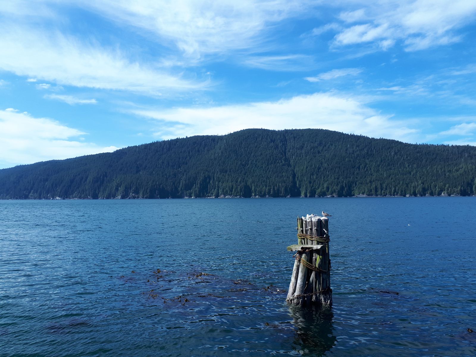 20190905_151547.jpg