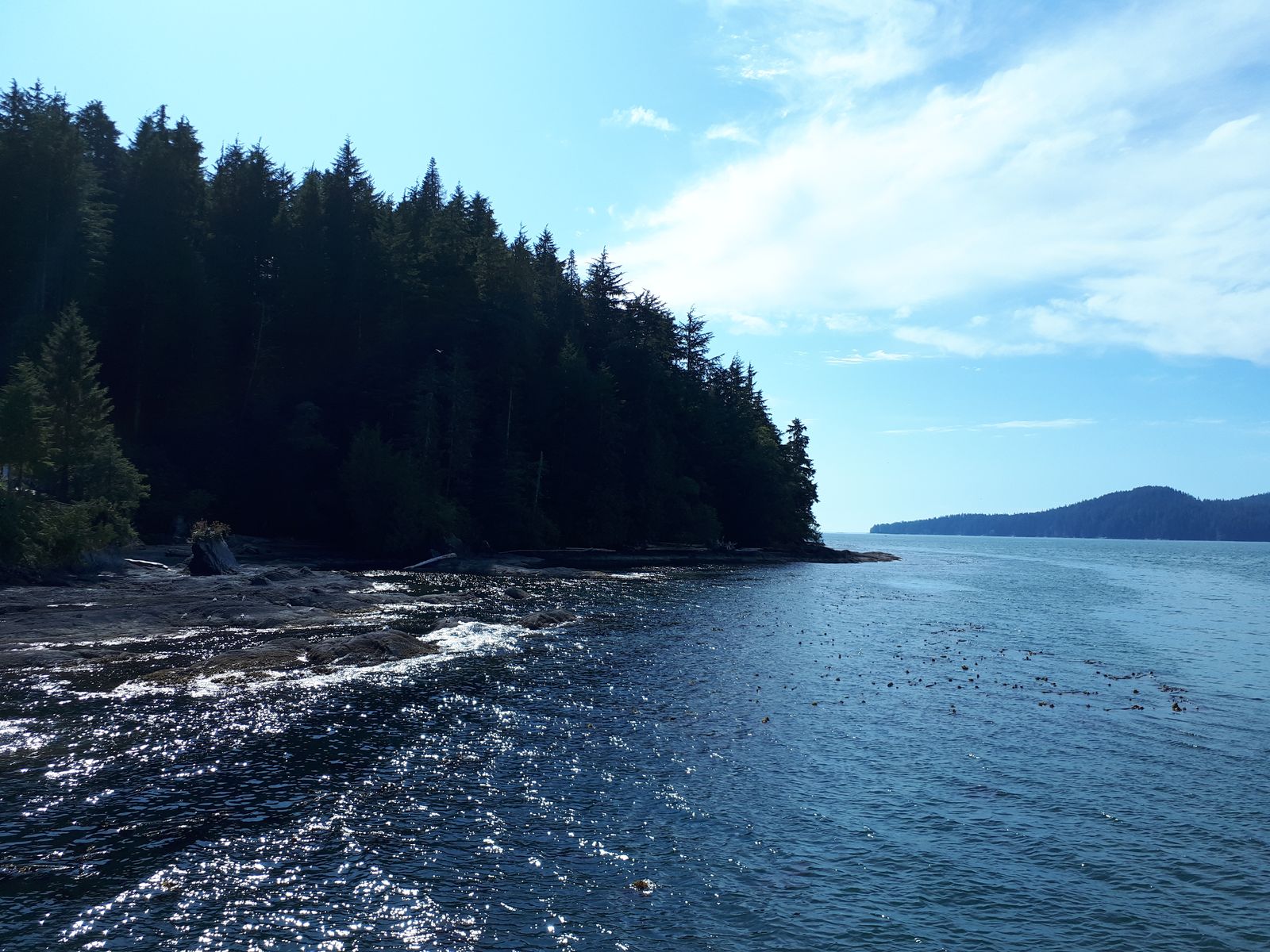 20190905_151550.jpg
