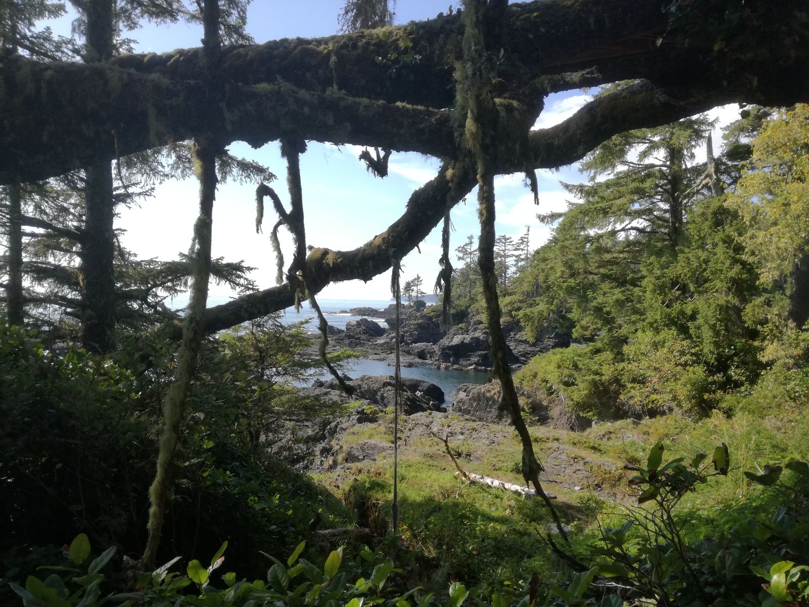 20190905_154724.jpg
