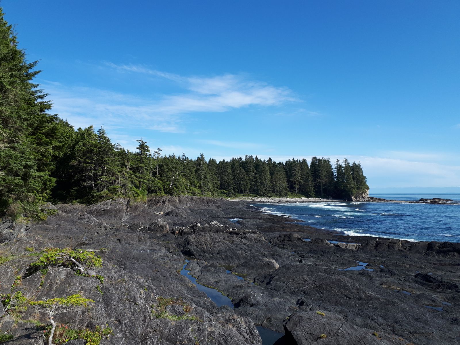 20190905_154928.jpg