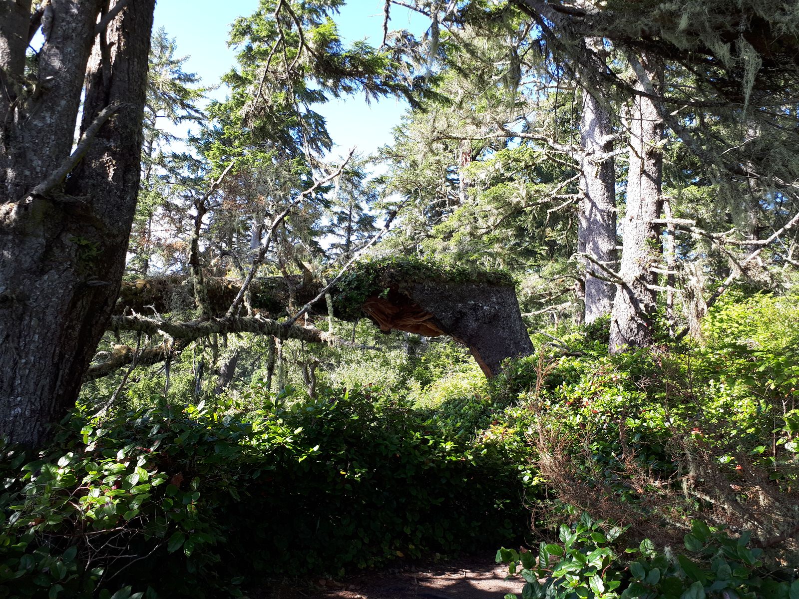 20190905_155326.jpg