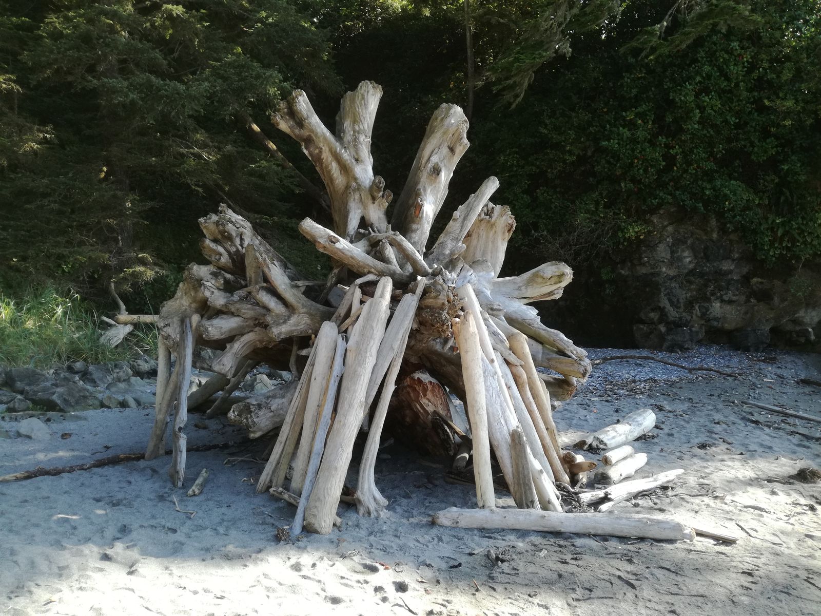 20190905_160621.jpg