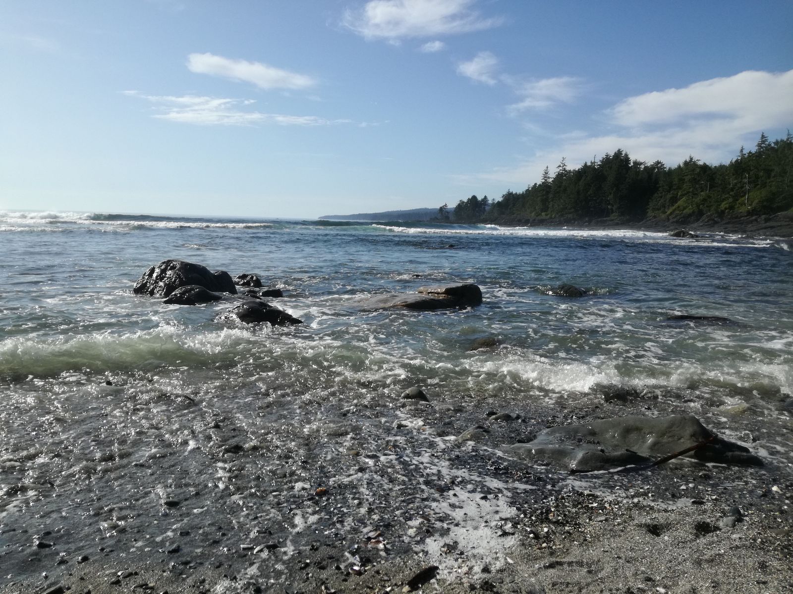 20190905_161026.jpg