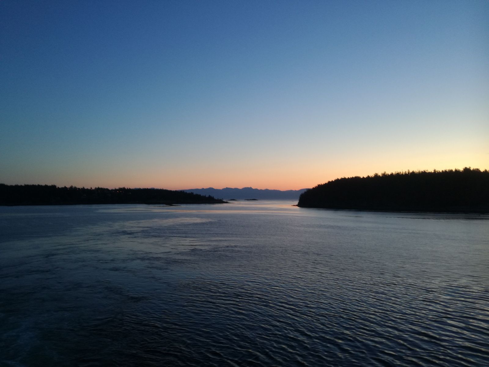 20190906_062546.jpg