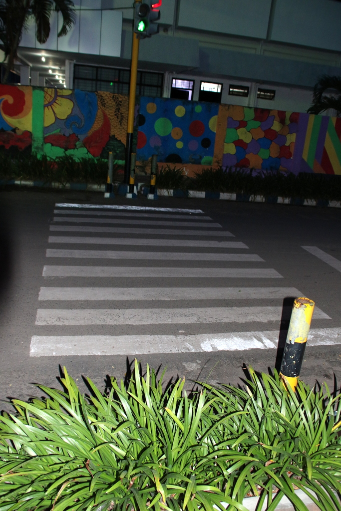 9E8A8201.JPG