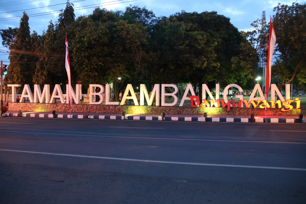 9E8A8206.JPG