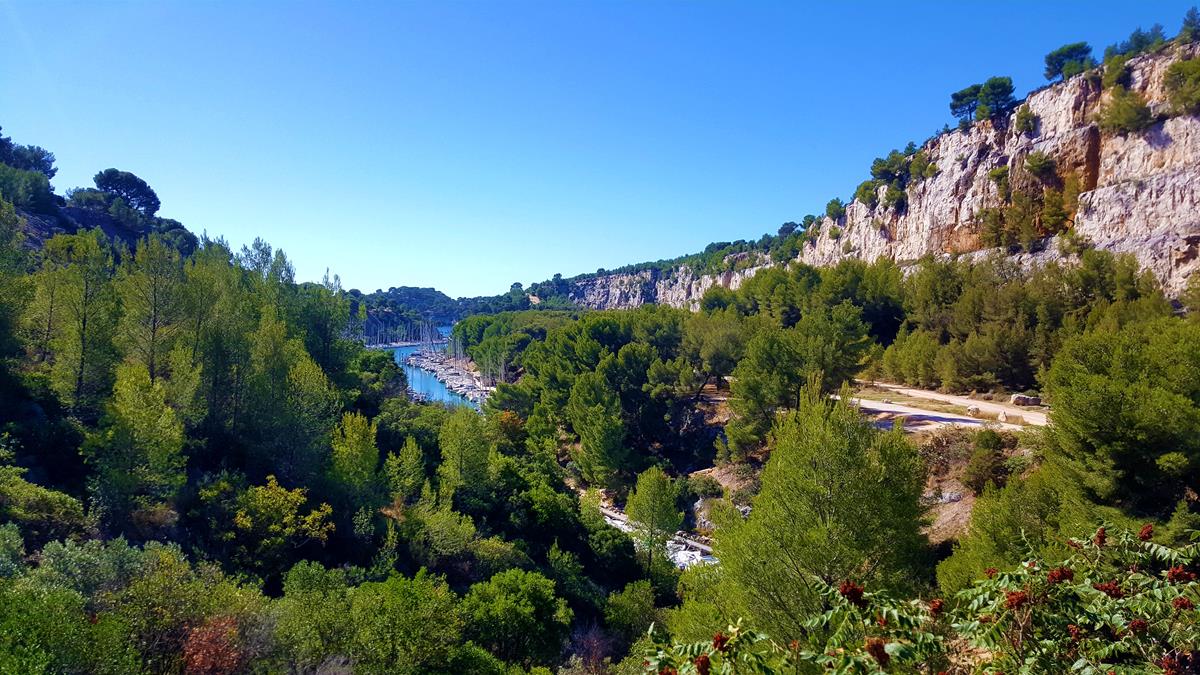 20191008_131607 (Copy).jpg