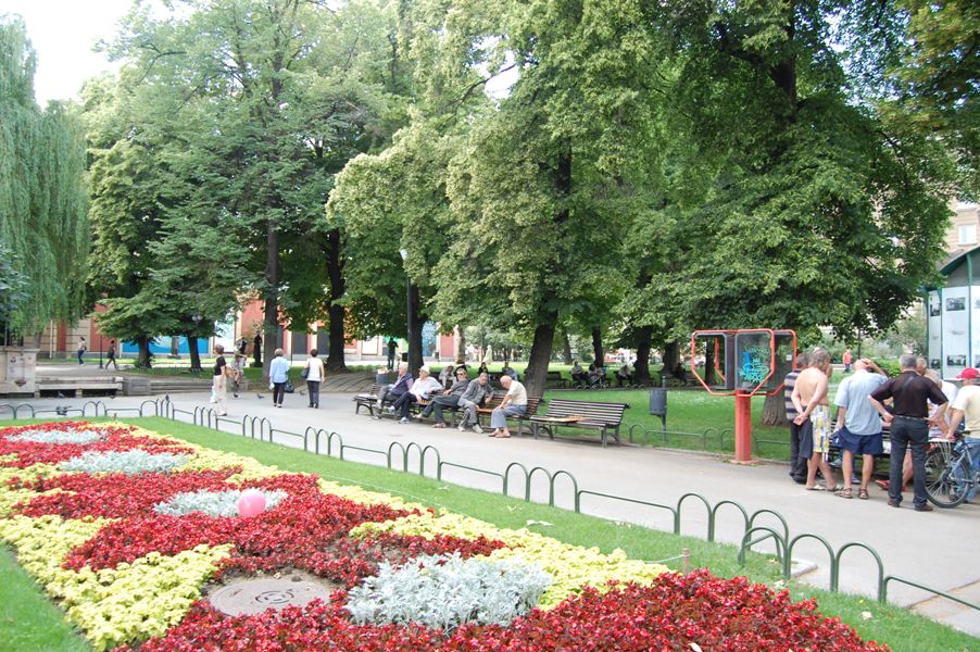 DSC_8486.JPG