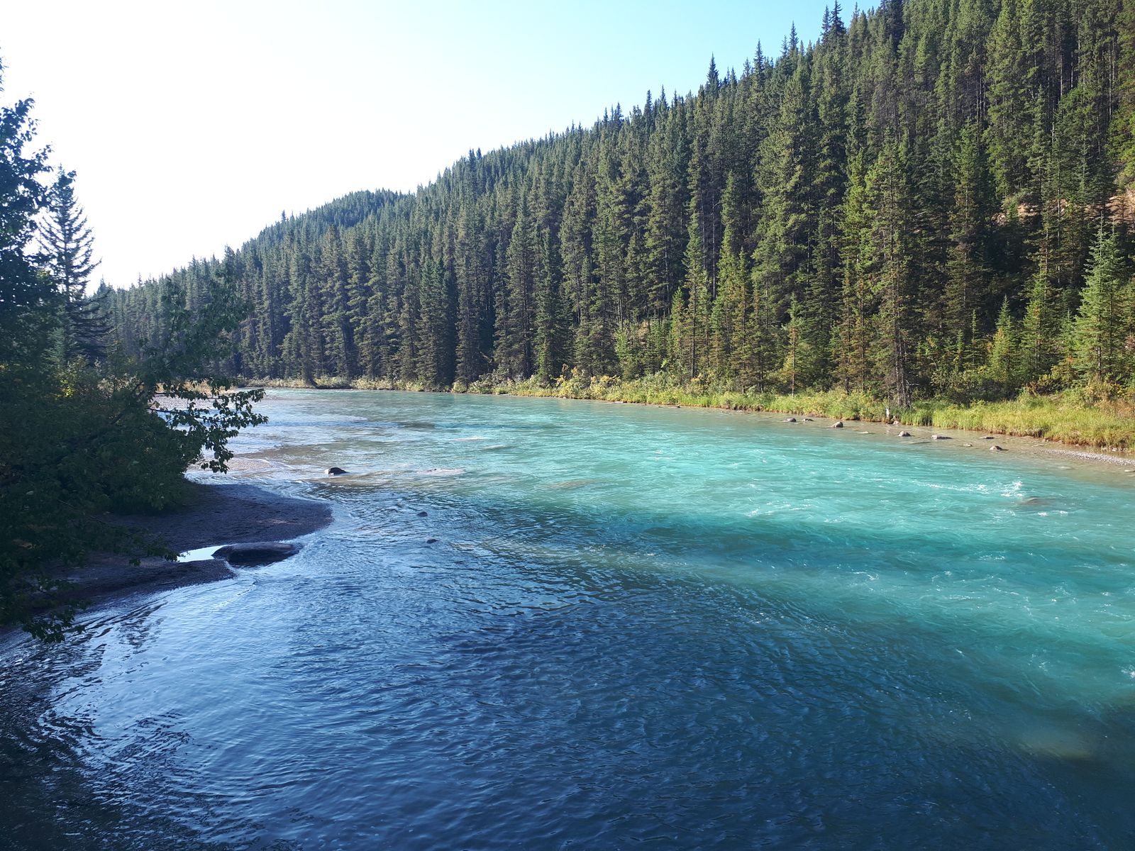 20190907_094340.jpg