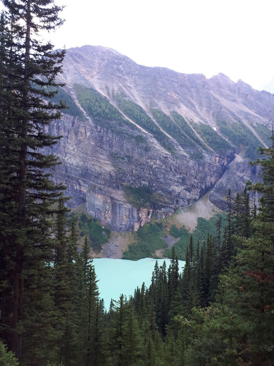 20190907_133724.jpg