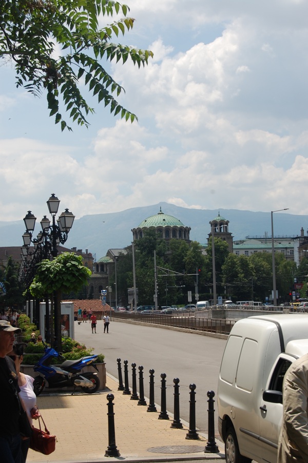 DSC_8450.JPG