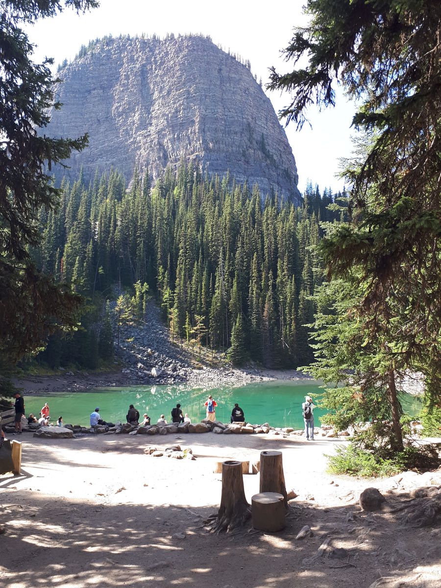 20190907_135459.jpg