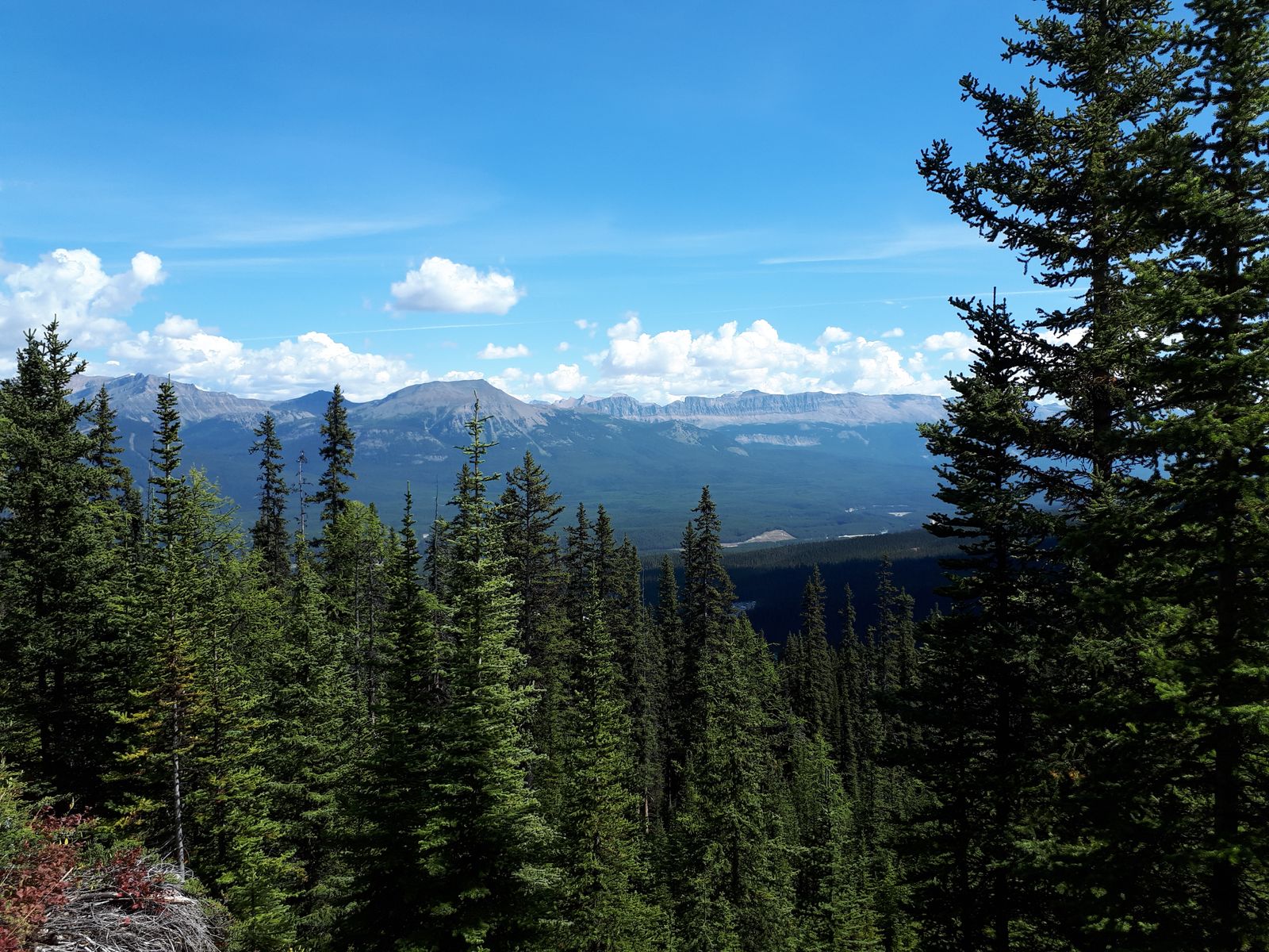 20190907_135856.jpg