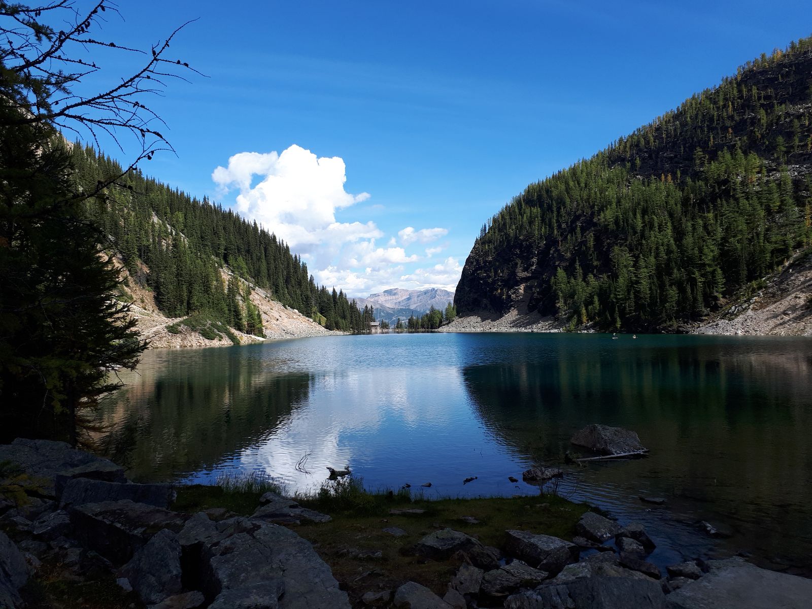 20190907_142613.jpg