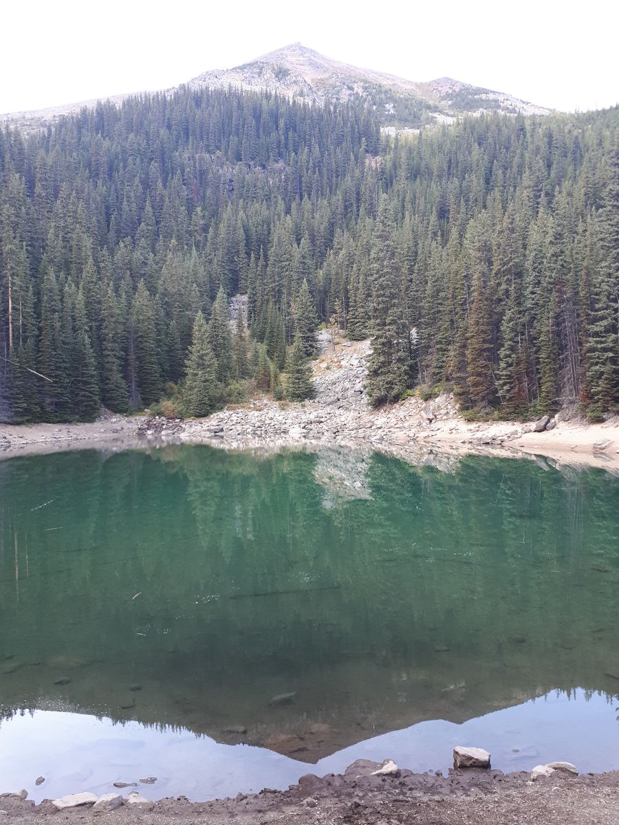 20190907_160654.jpg