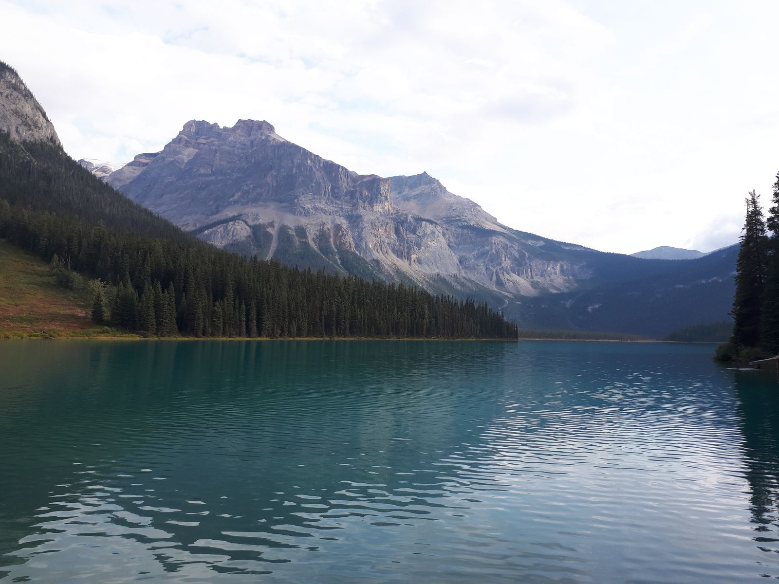 20190908_094346.jpg
